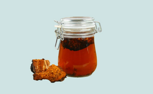 Chaga Mushroom: Uses, Benefits and Side Effects