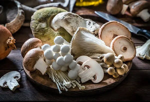 What Is the Best Medicinal Mushroom? Health Benefits